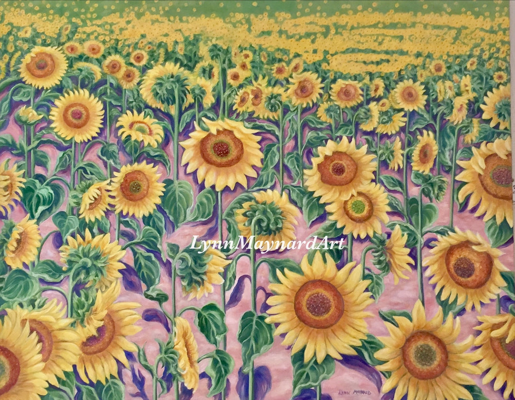 Suffolk Sunflowers Print