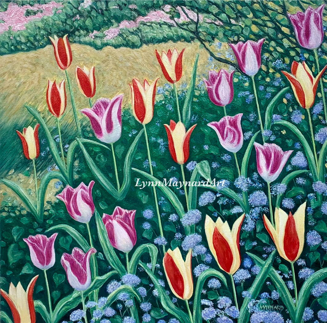 Tulip Grove