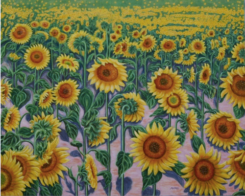 Suffolk Sunflowers, original oil
