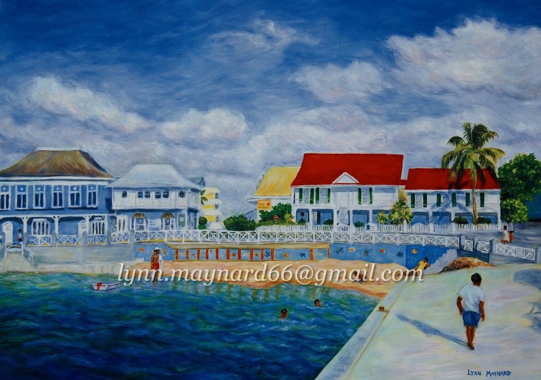 Hog Sty Bay, Cayman image 1